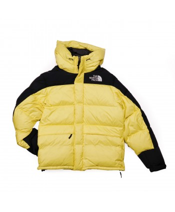 THE NORTH FACE PARKA IN...